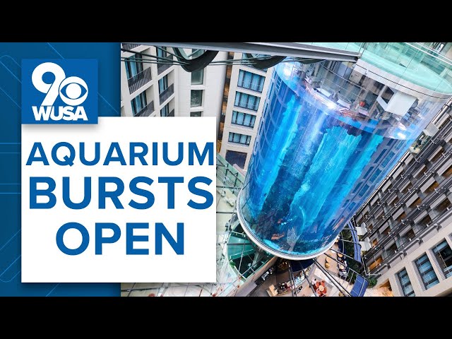 World's largest aquarium BURSTS in Berlin