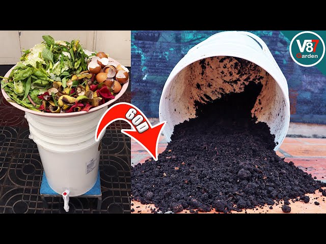 How to Make Compost at Home | Kitchen Waste Compost Update
