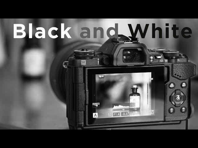 Black and White Photography - Olympus Tutorial